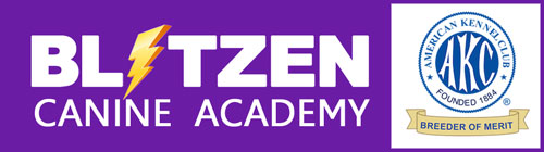 blitzen-logo-500 blitzen-logo-500