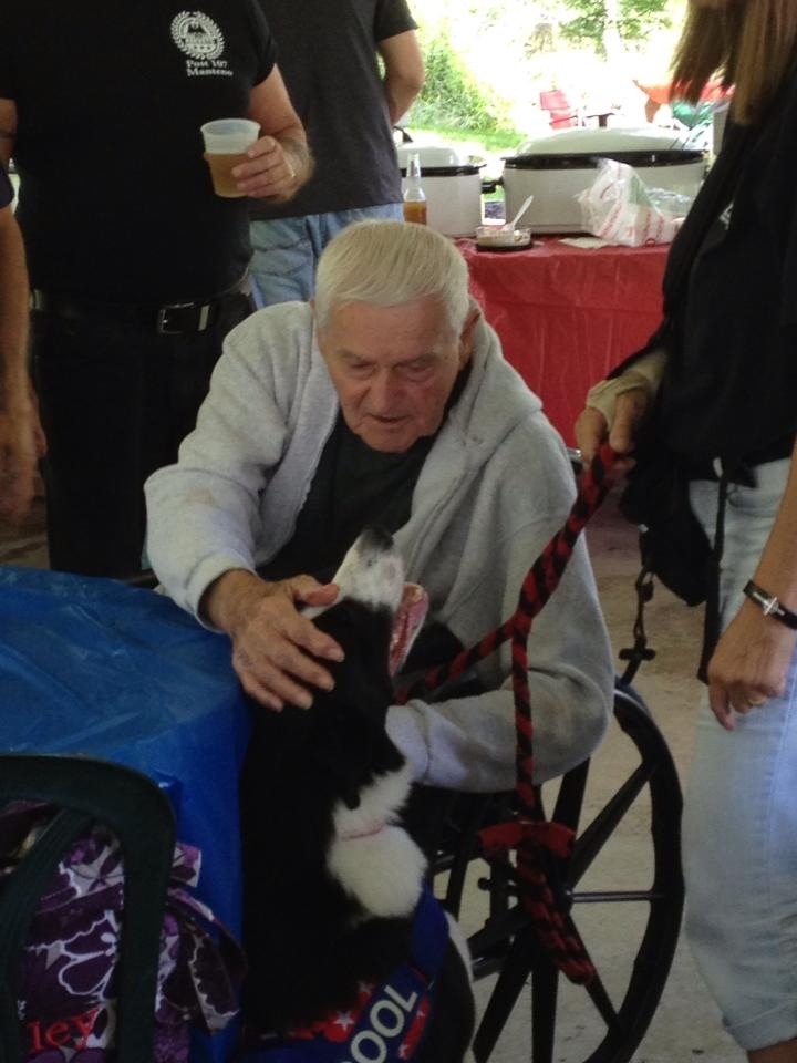 Cool doing one if his favorite things, being a Therapy Dog at the Veterans Picnic