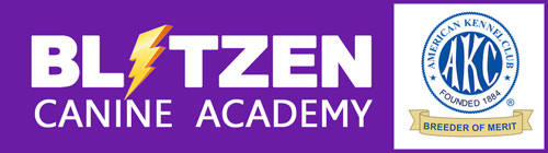 blitzen-logo
