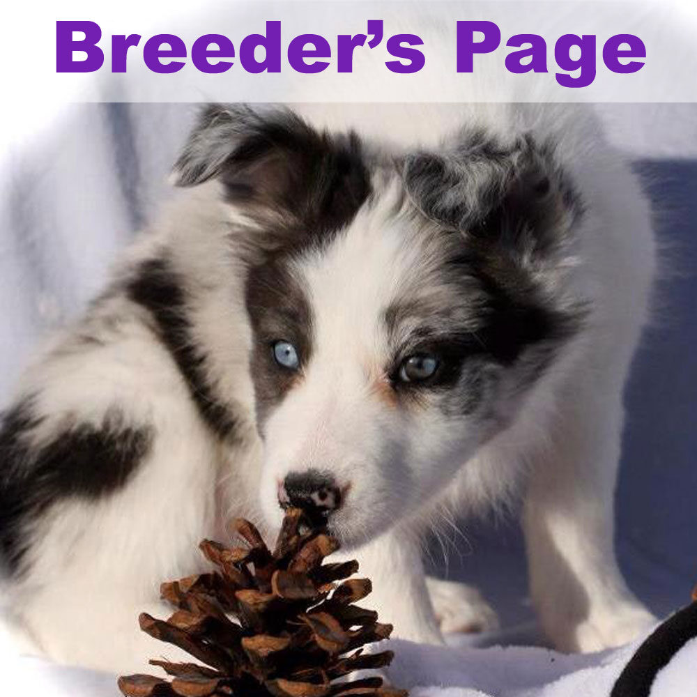 breeder-page