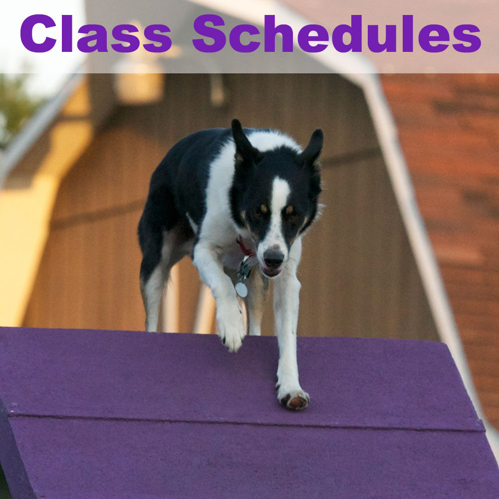 class-schedules