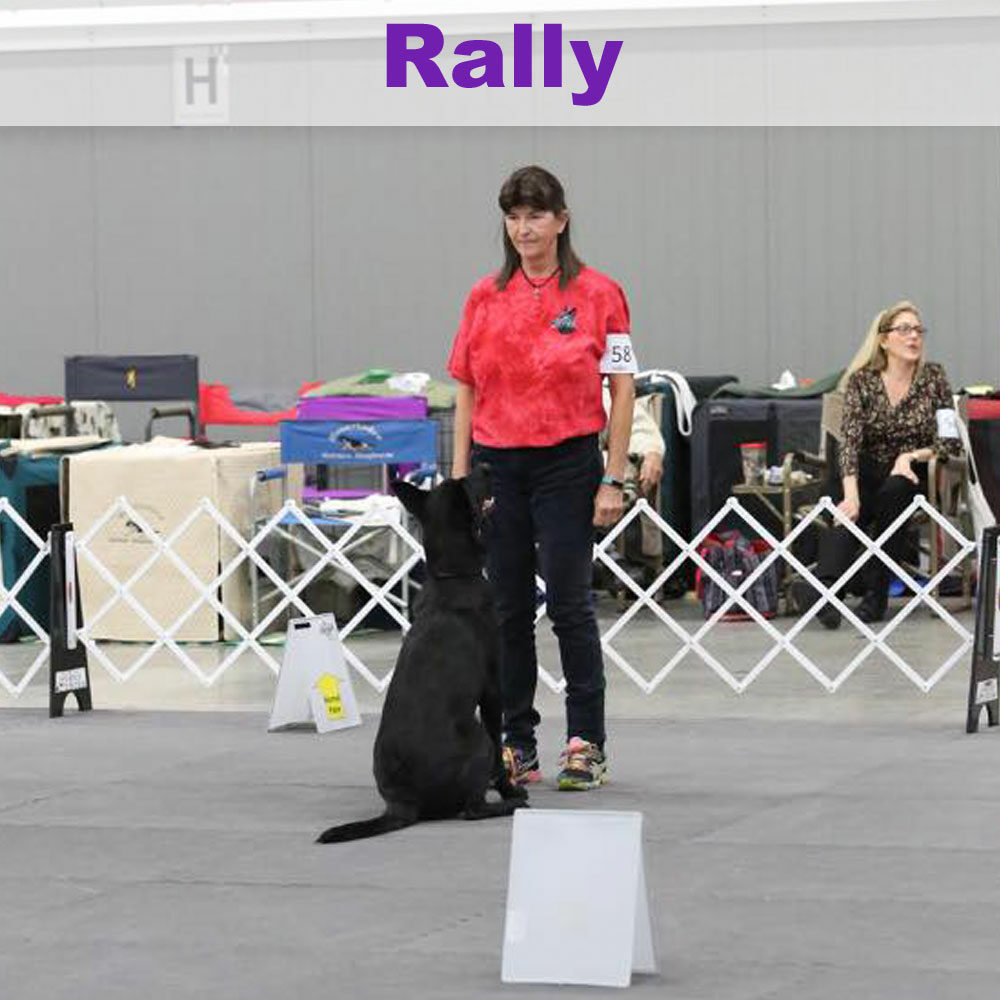 rally